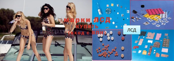 индика Карталы