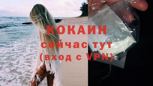 спайс Арсеньев
