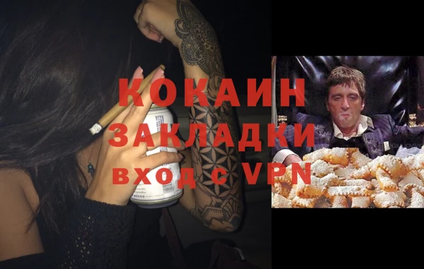 спайс Арсеньев