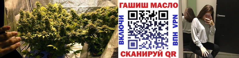 ТГК гашишное масло Кадников