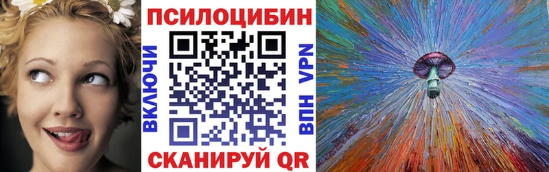 Галлюциногенные грибы Psilocybine cubensis  Кадников 